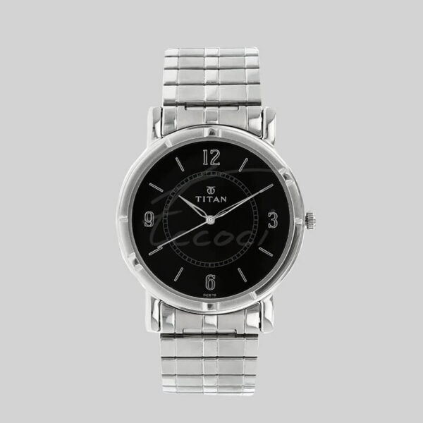 Titan NK1639SM03 Watch For Men