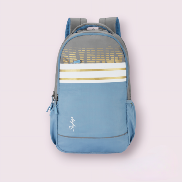 SKYBAGS STRIDER Pro 07  Grey LAPTOP BACKPACK (H)